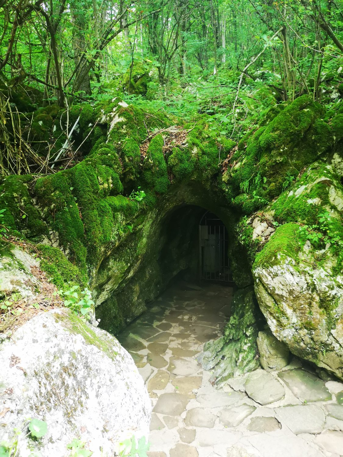 Intrarea în Peștera Ledenika