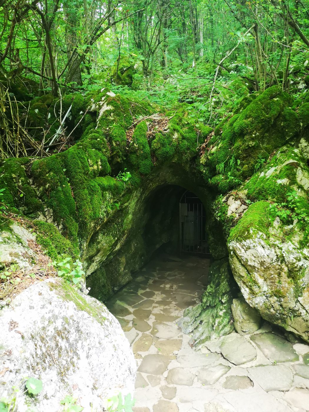 Intrarea în Peștera Ledenika