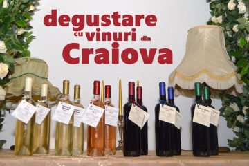 Vinuri din Craiova - Atelierul de Vin Primăverii 43a