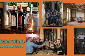 Rădăcini Wines @ Casa Romanescu x 10 ani de Blogmeet