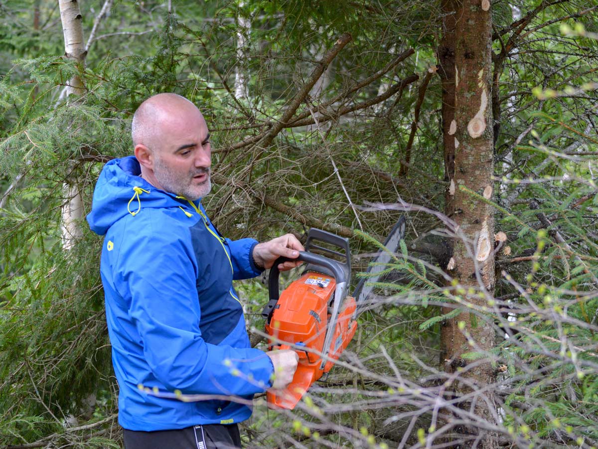 Mircea Costa, Primarul, curățând copacii ce urmează a fi marcați