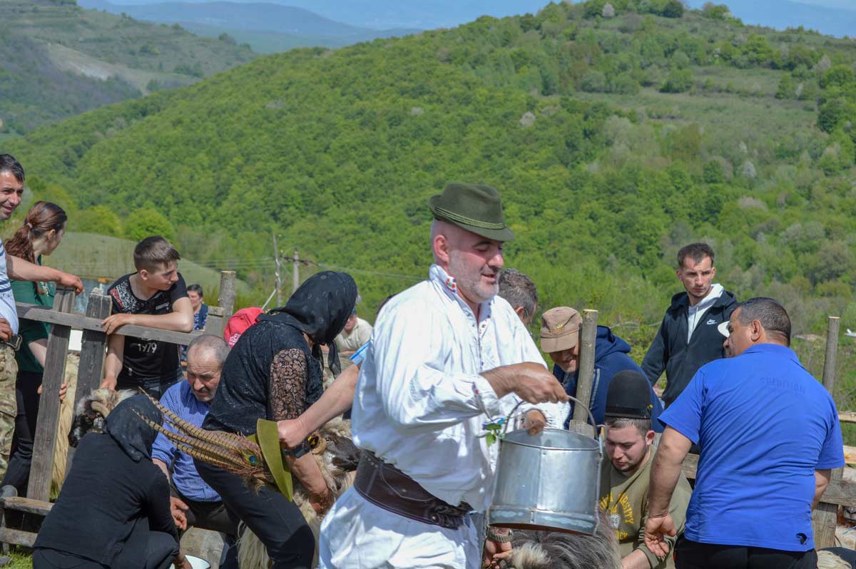 Mircea Costa, Primarul comunei Cerbăl, participând la Măsuratul Oilor