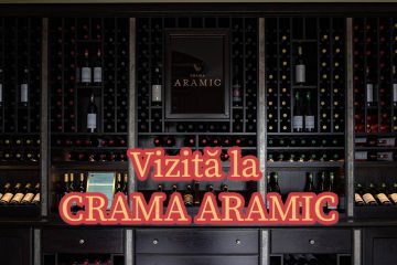 Vizită și degustare de vinuri la Crama Aramic