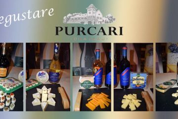 Degustare Chaeau Purcari Wineries și brânzeturi Delaco
